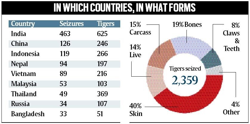 Tiger count